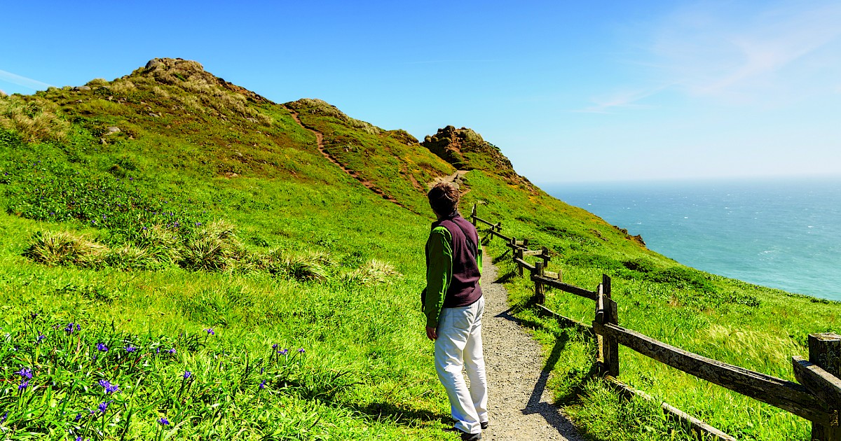 Five Best Hiking Trails In West Marin The Best In Marin Collection