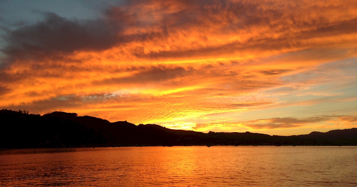 Angel Island Tiburon Ferry - Guided Tours | Marin Convention & Visitors ...