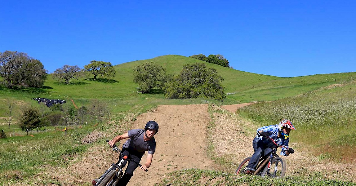 Briones regional discount park mountain biking