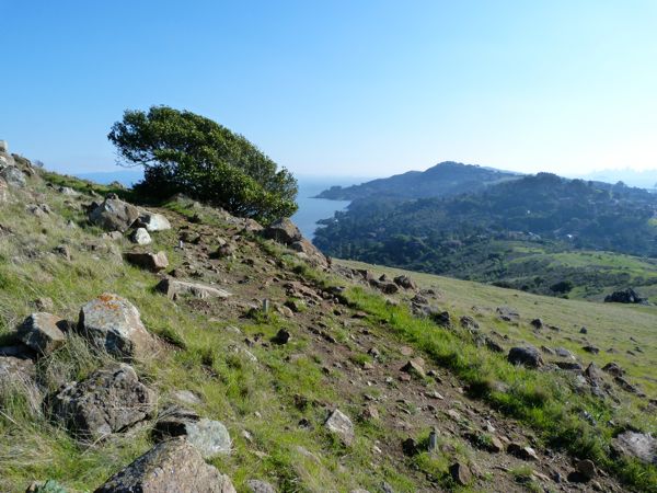 View Lodging choices in Tiburon